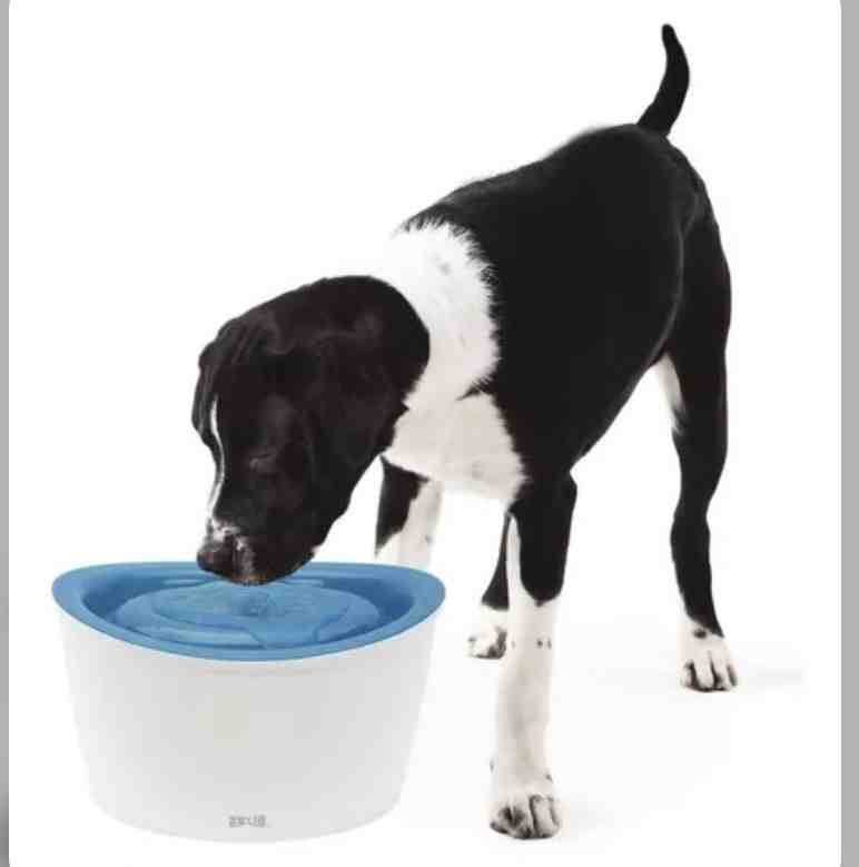 FUENTE BEBEDERA ZEUS GATO/PERRO DE 6 LITROS 